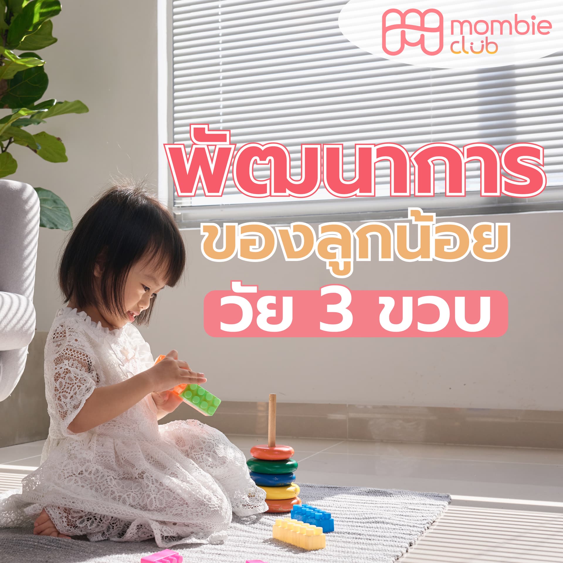 พัฒนาการ