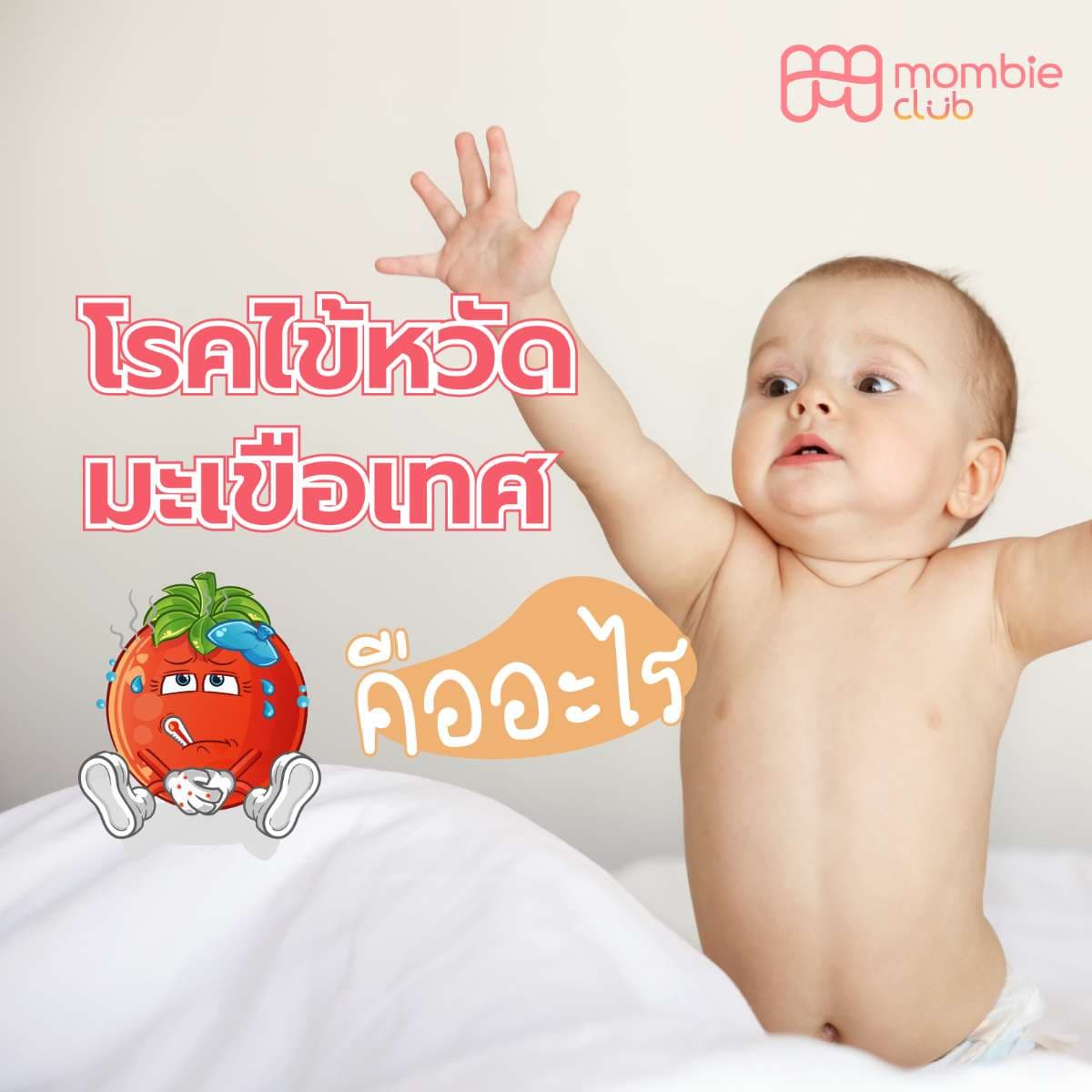 ไข้หวัดมะเขือเทศ