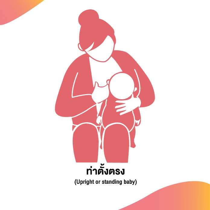ท่าตั้งตรง (Upright or standing baby)