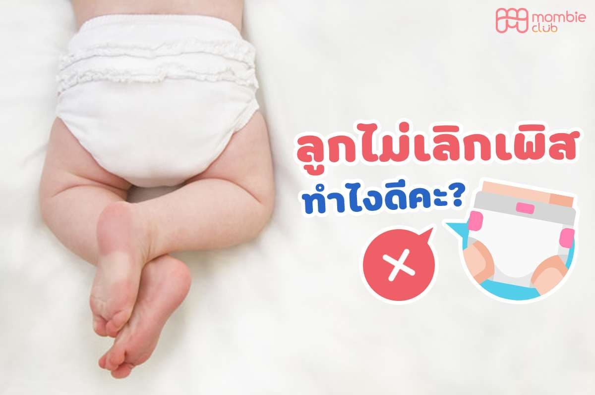 แพมเพิส